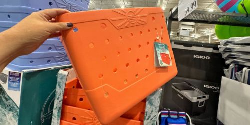 These NEW Costco Beach Bags Have Bogg Bag Vibes & Make a Great Gift!