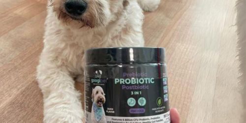 Score 50% Off Dog Supplements on Amazon | Multivitamins, Probiotics, & Calming Chews