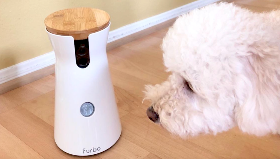 Furbo 360° Pet Camera ONLY $69 Shipped for Amazon Prime Members (Dispenses Treats Too!)