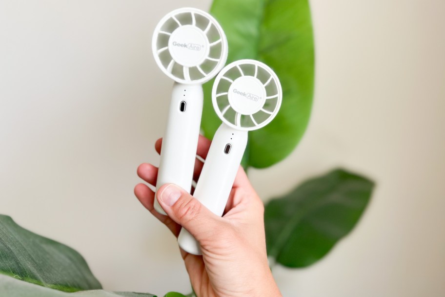 hand holding two white mini fans