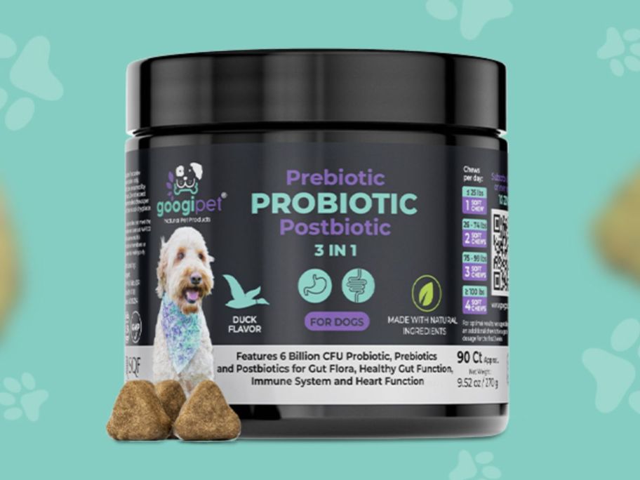 jar of dog probiotics on blue background