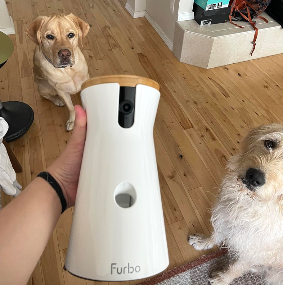 Furbo dog feeder with pups 