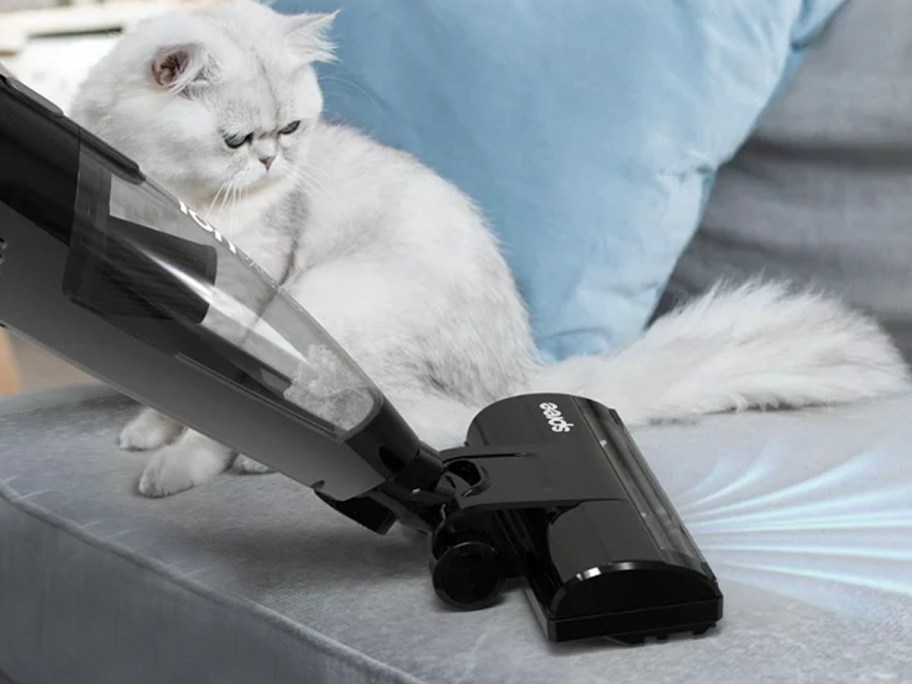 black stick vacuum cleaning couch with white cat sitting next to it