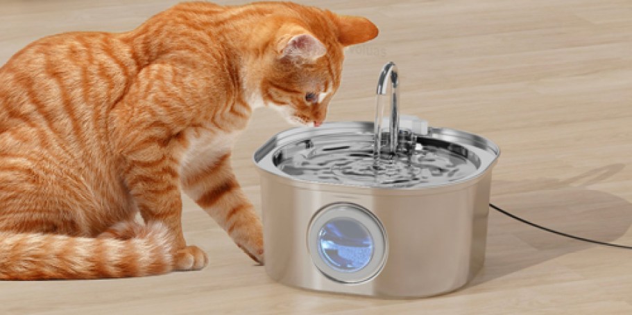 Large Stainless Steel Cat Water Fountain ONLY $13.78 Shipped for Amazon Prime Members