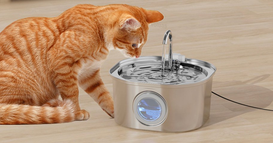 Orange cat drinking out of stainless steel water fountain 