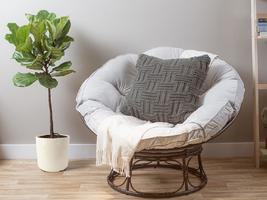 plant displayed next to lounge chair in the living room