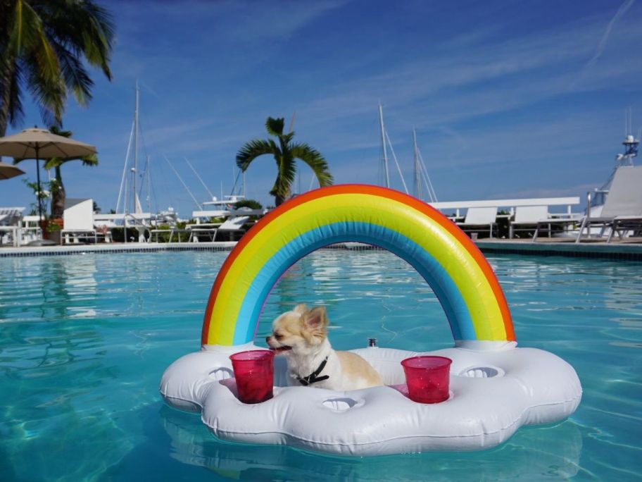 rainbow cloud cooler with dog and two drinks inside floating in pool