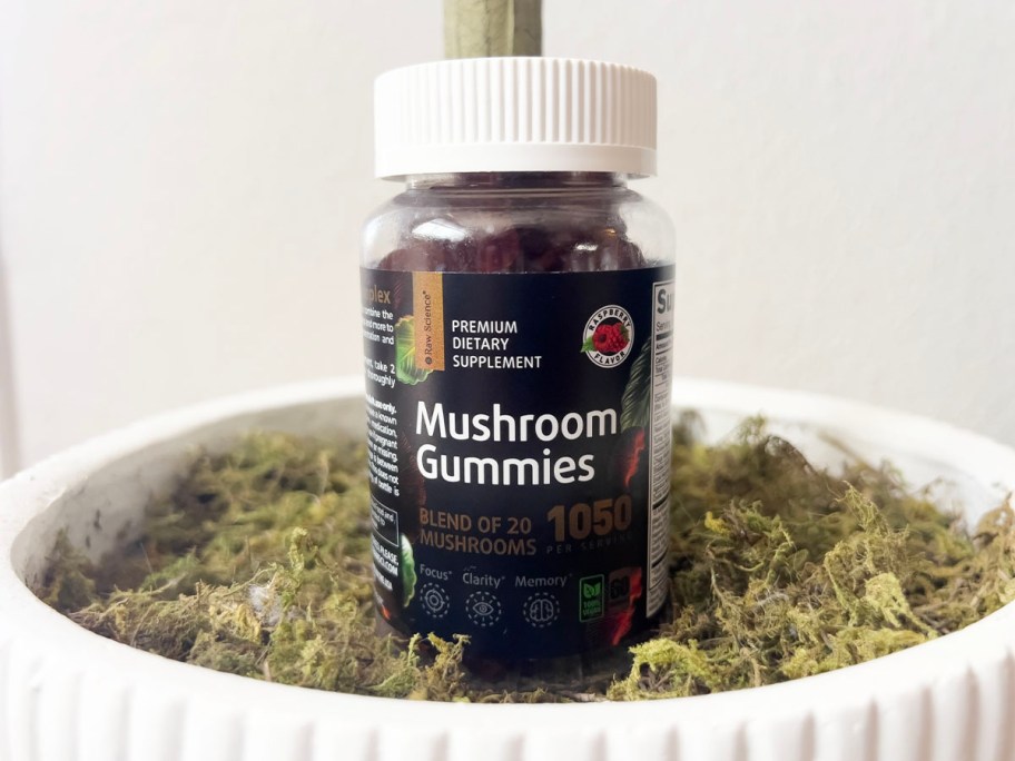 raw science mushroom gummies bottle sitting in planter