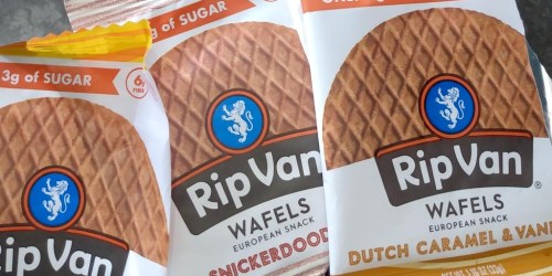 Rip Van Wafels 36-Count Just $25.99 Shipped (Regularly $64) | Keto-Friendly Snacks
