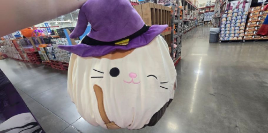 Sam’s Club Squishmallows Costumes & Plushes Available Now!