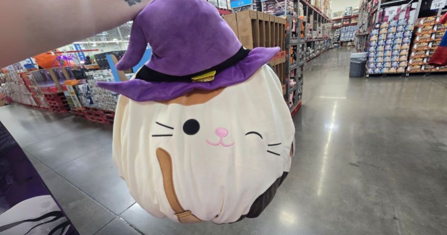 Squishmallows Cam the Witch Calico Cat Kids Costume in hand in store