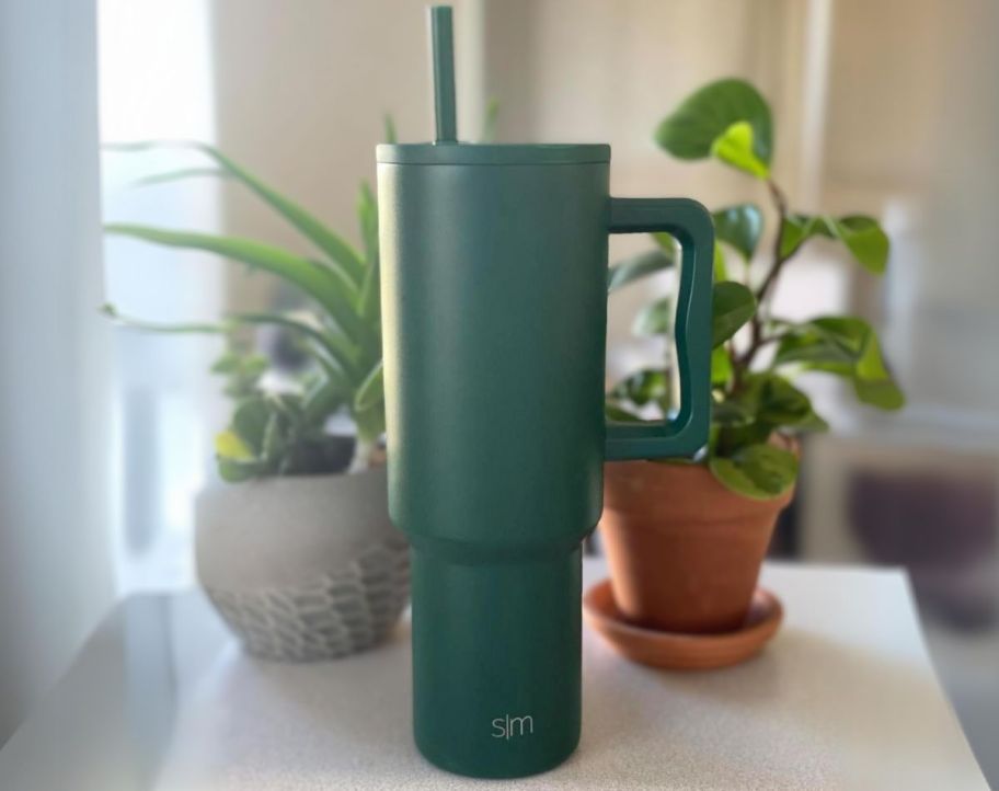 a green simple modern 40oz tumbler on a kitchen counter with 2 potted plants