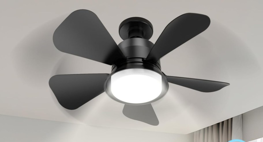 black socket ceiling fan
