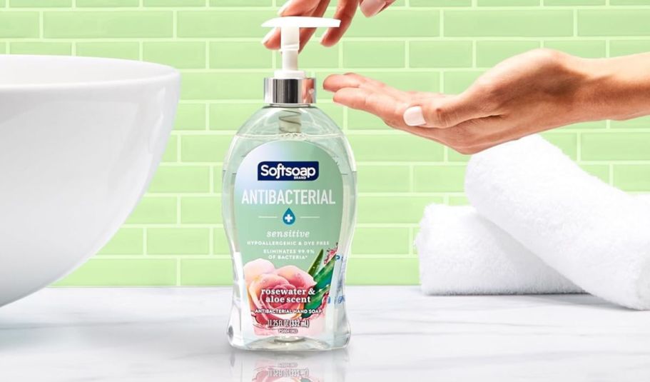 4 FREE Softsoap Hand Soaps After Target Gift Card & Cash Back