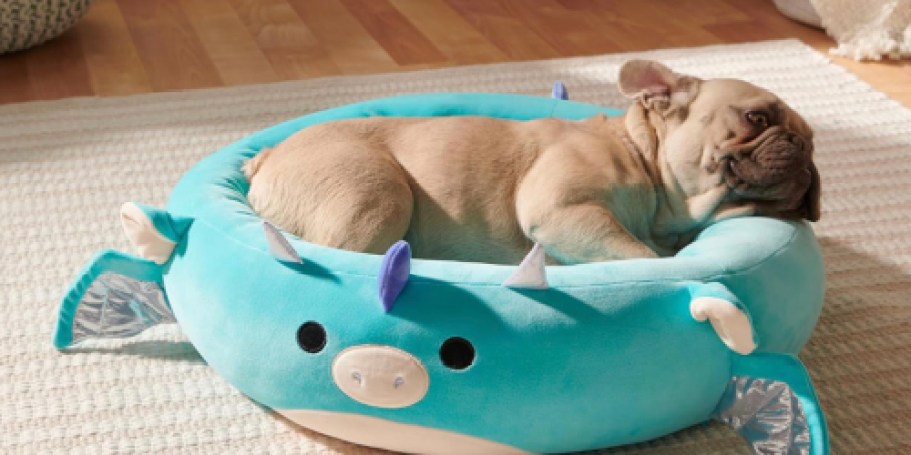 Squishmallows Pet Beds From Only $17.97 Shipped For Prime Members (Regularly $35)