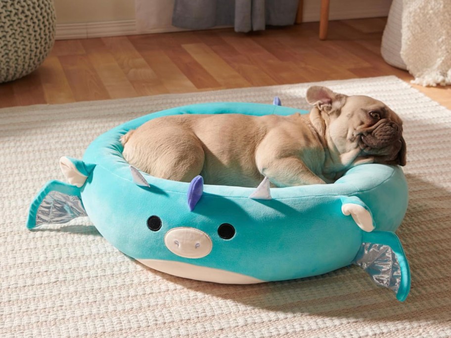 small dog laying in blue dragon pet bed