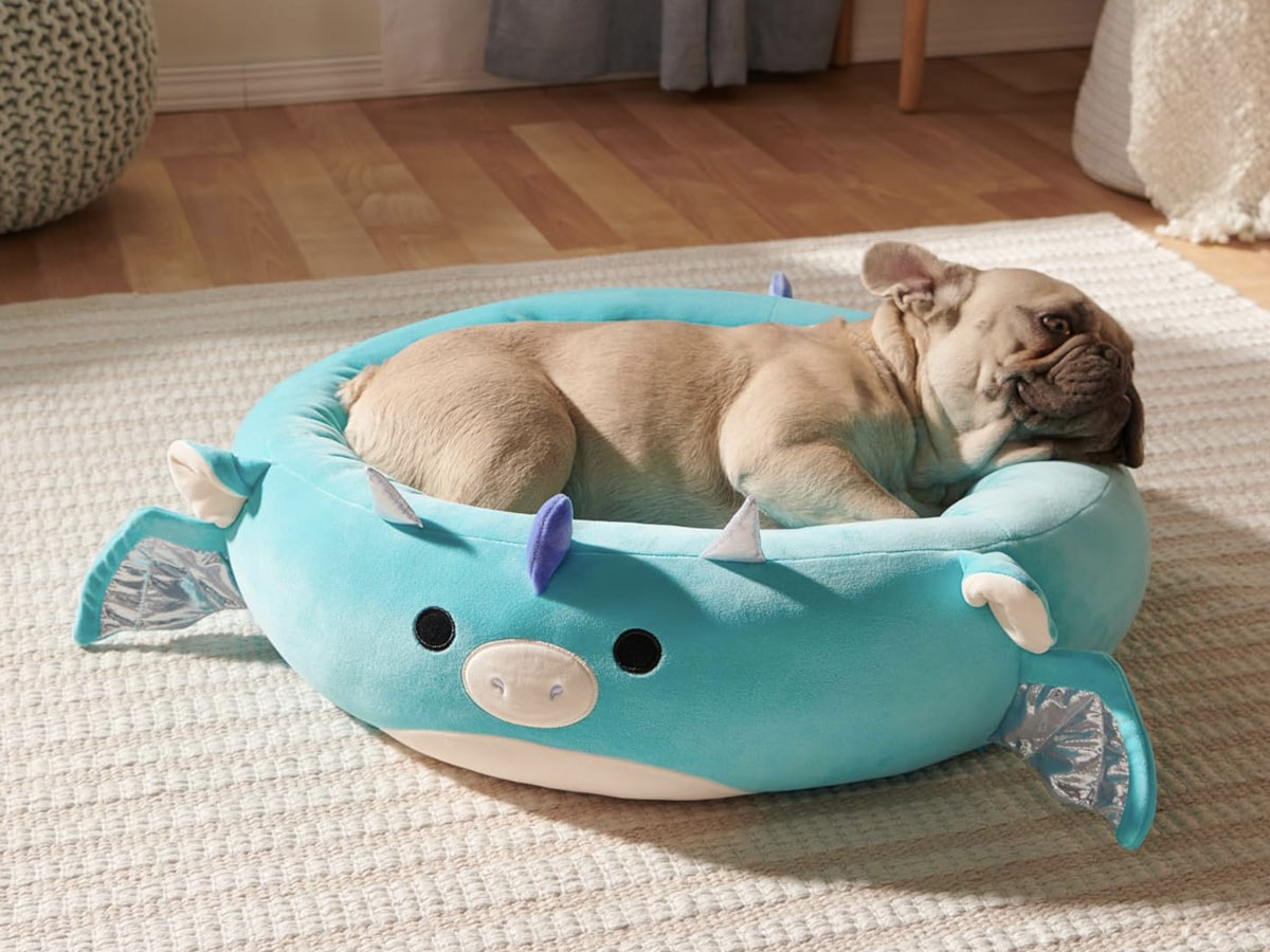 Squishmallows Pet Beds from 14.99 + Free Shipping for Prime