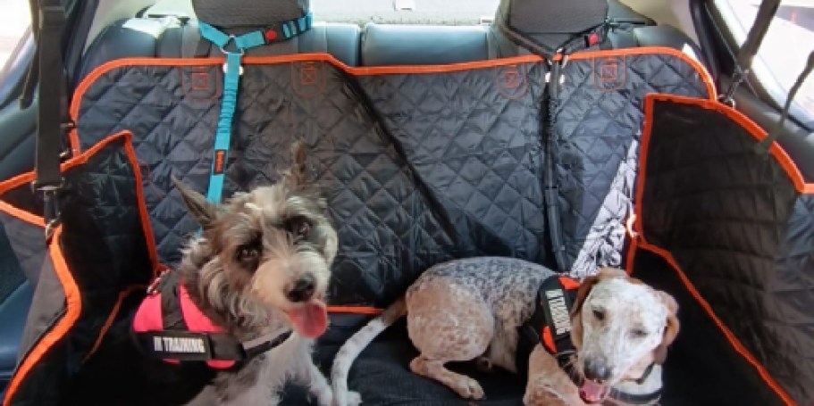 Dog Leash & Seatbelt 2-Pack Only $8.49 on Amazon | Attaches to Headrest or Seatbelt Buckle