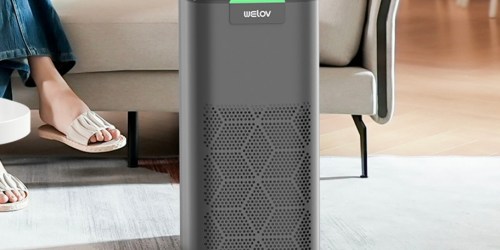 Smart Air Purifier Only $89.99 Shipped for Amazon Prime Members | Filters 99.97% of Pollutants
