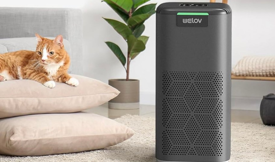 gray air purifier next to cat sitting on two pillows 
