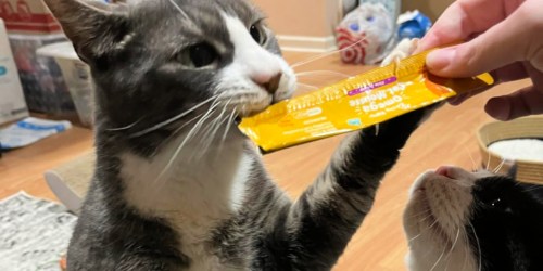 Zesty Paws Omega Cat Mousse 18-Pack Only $11.98 Shipped for Amazon Prime Members (Reg. $20)