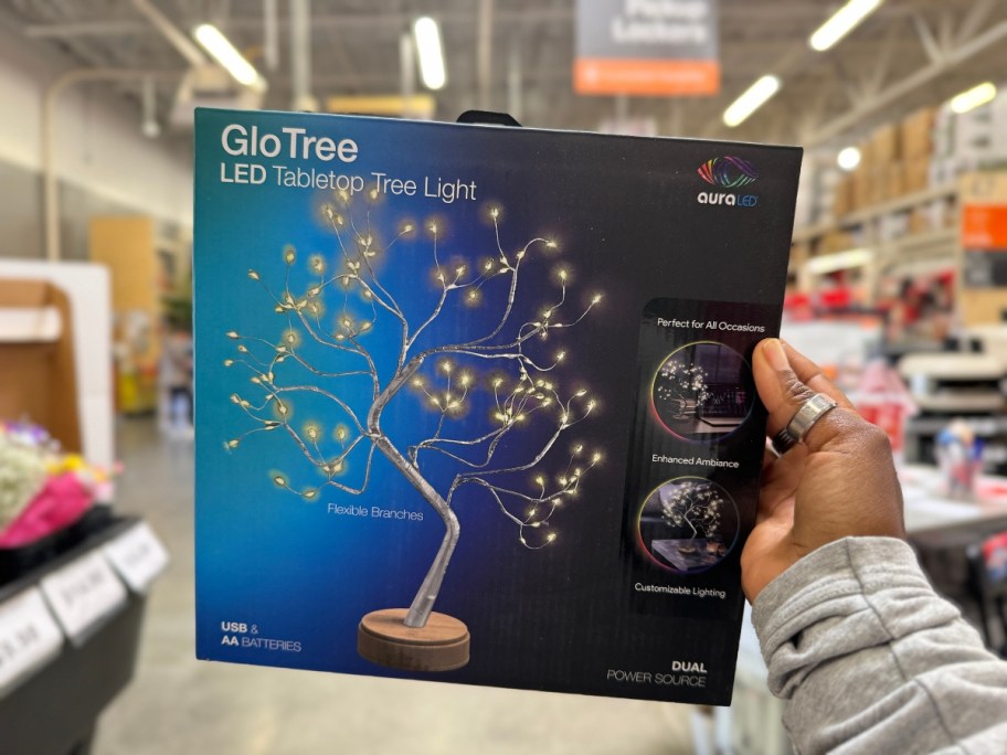 hand holding a box with a Tzumi Aura LED GloTree Tabletop Tree Light in it