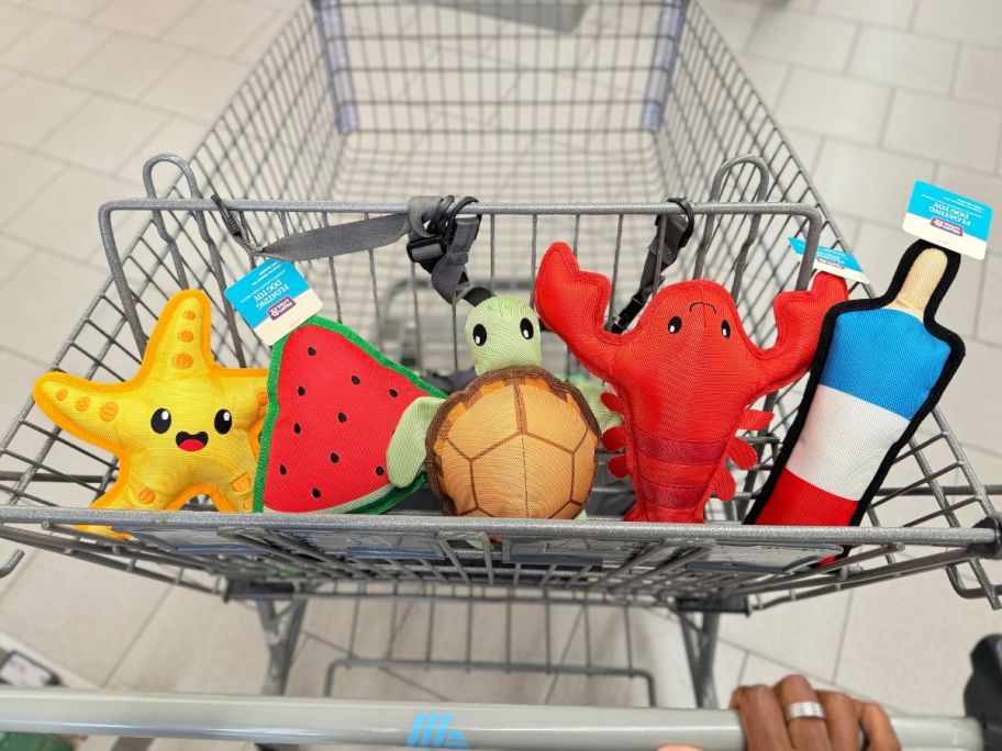 Aldi Summer Dog Toys