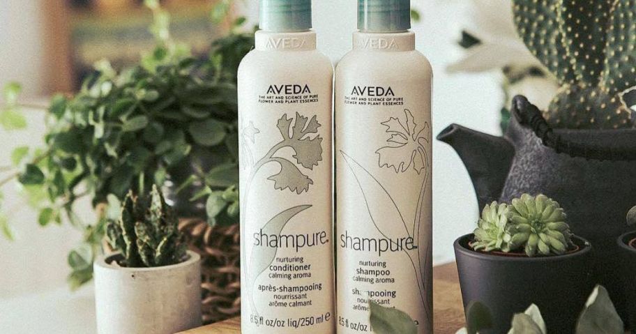 Bottles of Aveda Shampure Shampoo & Conditioner surrounded by house plants