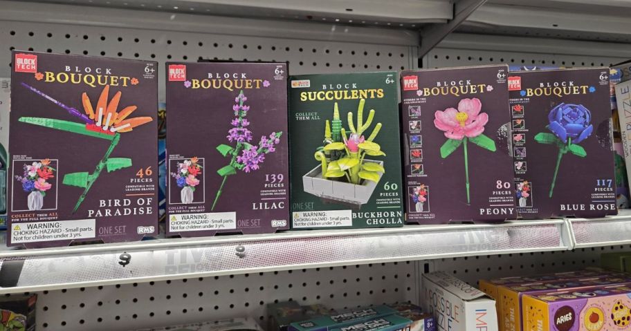 Block Tech Bouquet Flowers or Succulents Block Sets on shelf in store