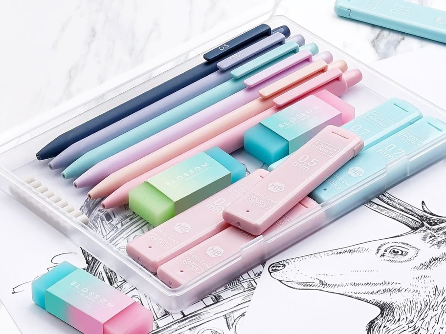pastel mechanical pencils, erasers, and lead refills in clear case
