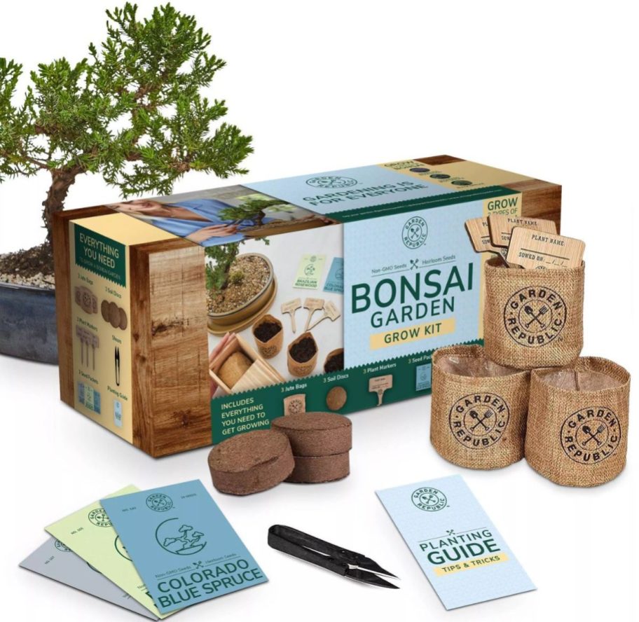 contents of a bonsai starter kit