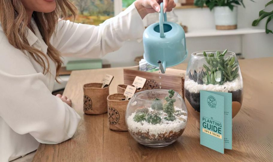 50% Off Garden Republic Starter Kits on Target.com | $7.49 Pepper Kit, $12.49 Succulent Kit + More