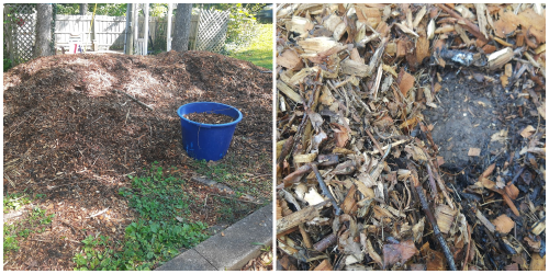 Here’s How This Reader Scored FREE Wood Chips For Her Garden