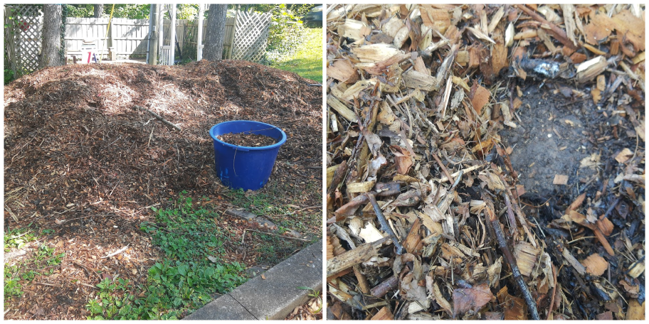 Happy Friday Reader yard with free wood chips from getchipdrop