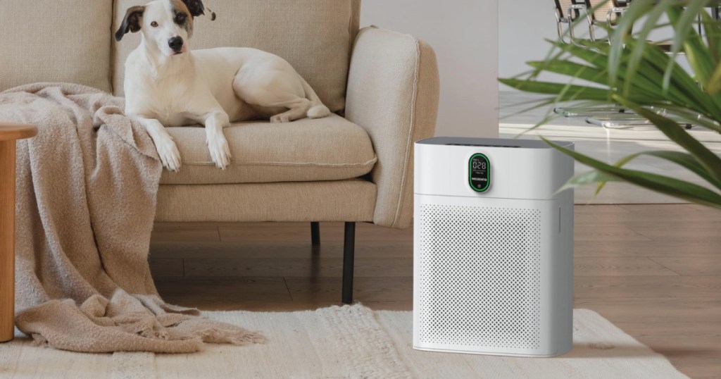 HEPA Air Purifier in living room next to dog laying on couch