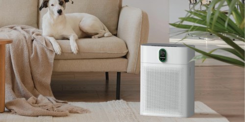 HEPA Air Purifier Just $67.59 Shipped on Amazon | Great for Large Rooms