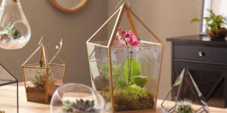 Glass Terrarium ONLY $9 Shipped on HomeDepot.com (Great Home or Wedding Decor!)