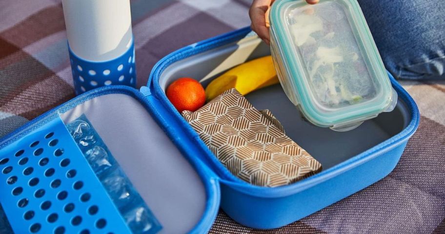 Hydro Flask Kids Insulated Lunch Box open with food in it