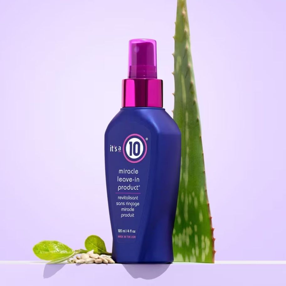 a bottle of leave-in hair treatment spray shown with an aloe vera leaf - stock image