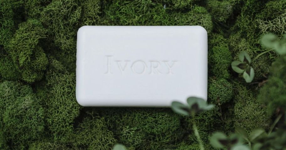 ivory soap bar in moss