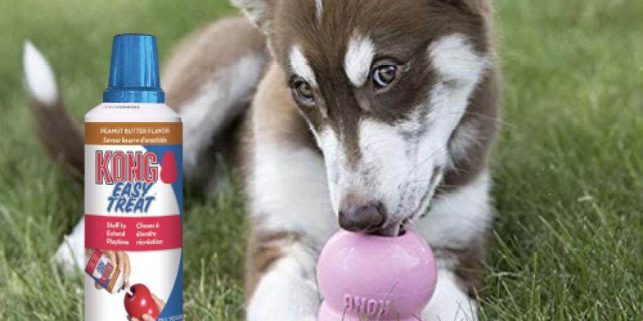 KONG Easy Treat Peanut Butter Paste Only $4 Shipped on Amazon (Reg. $10)