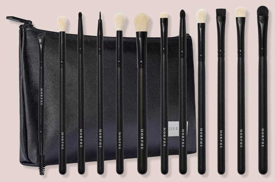 a 12 piece eye makeup brush set