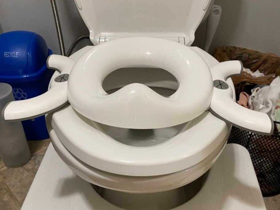 A child's potty seat on a toilet