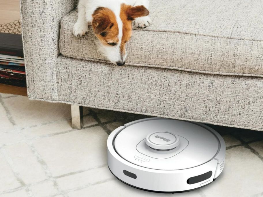 A dog on a couch looking at a robot vacuum