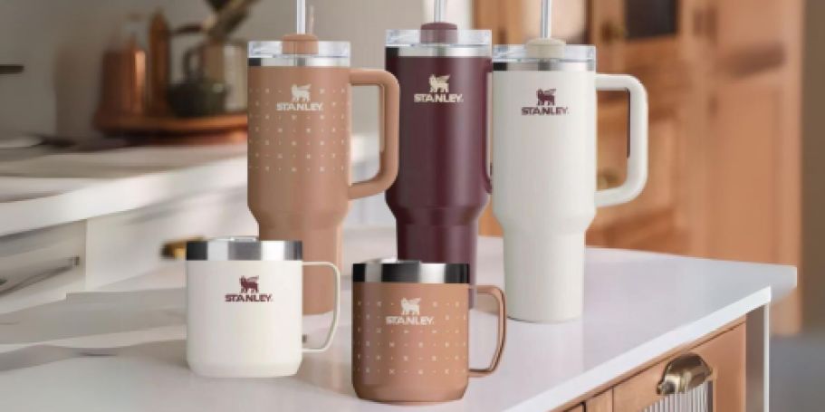 NEW Stanley Tumbler Hearth & Hand w/ Magnolia Colors Coming Exclusively to Target August 4th