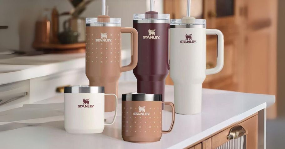 NEW Stanley Tumbler Hearth & Hand w/ Magnolia Colors Coming Exclusively to Target August 4th