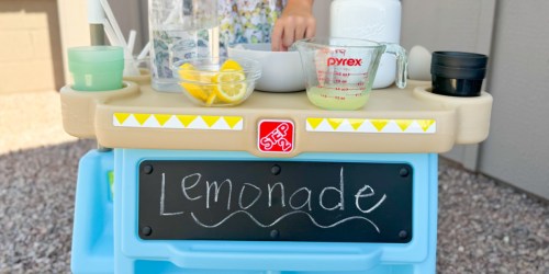 Alex’s Lemonade Stand Items Available at ALDI (May Sell Out!)