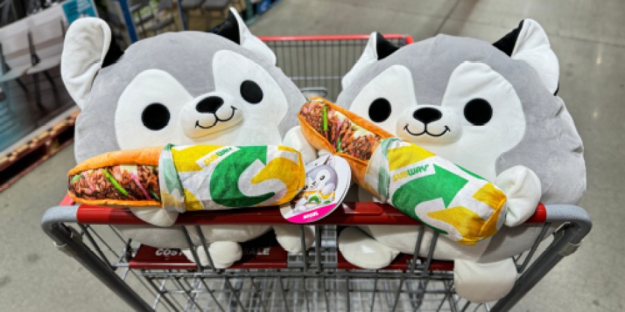 Snackles Plush Spotted at Costco for ONLY $13.99 (Pre-Order New Characters on Amazon, Too!)