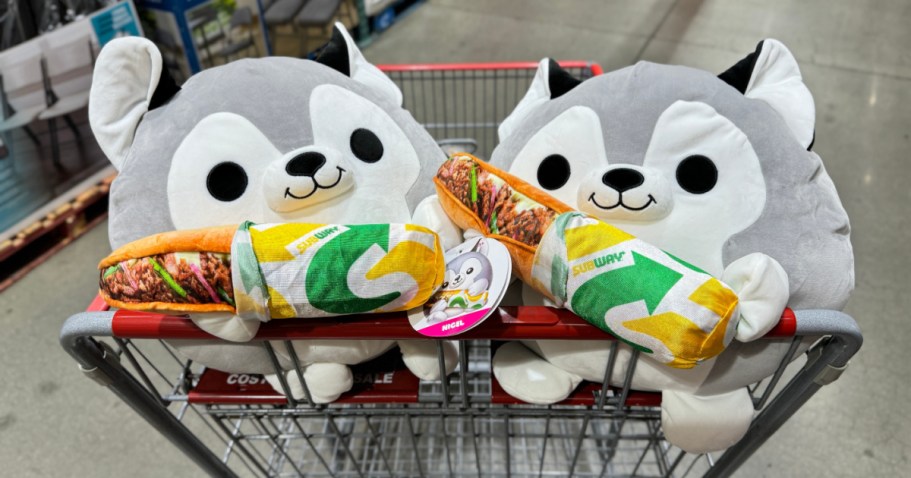 Snackles Plush Spotted at Costco for ONLY $13.99! (+Pre-Order New Characters on Amazon too!)