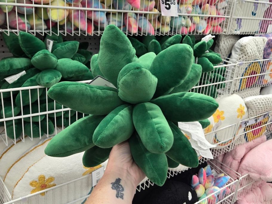 Succulent Plush Pillow 13.5in x 13.5in in hand in store